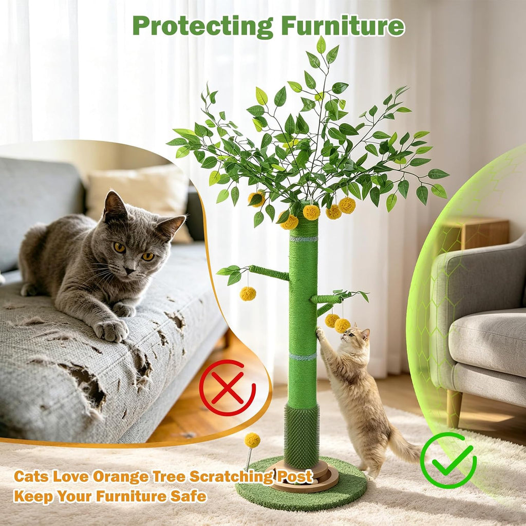 50" Extra Tall Cat Scratching Post for Large Cats, Heavy Duty Scratch Tree
