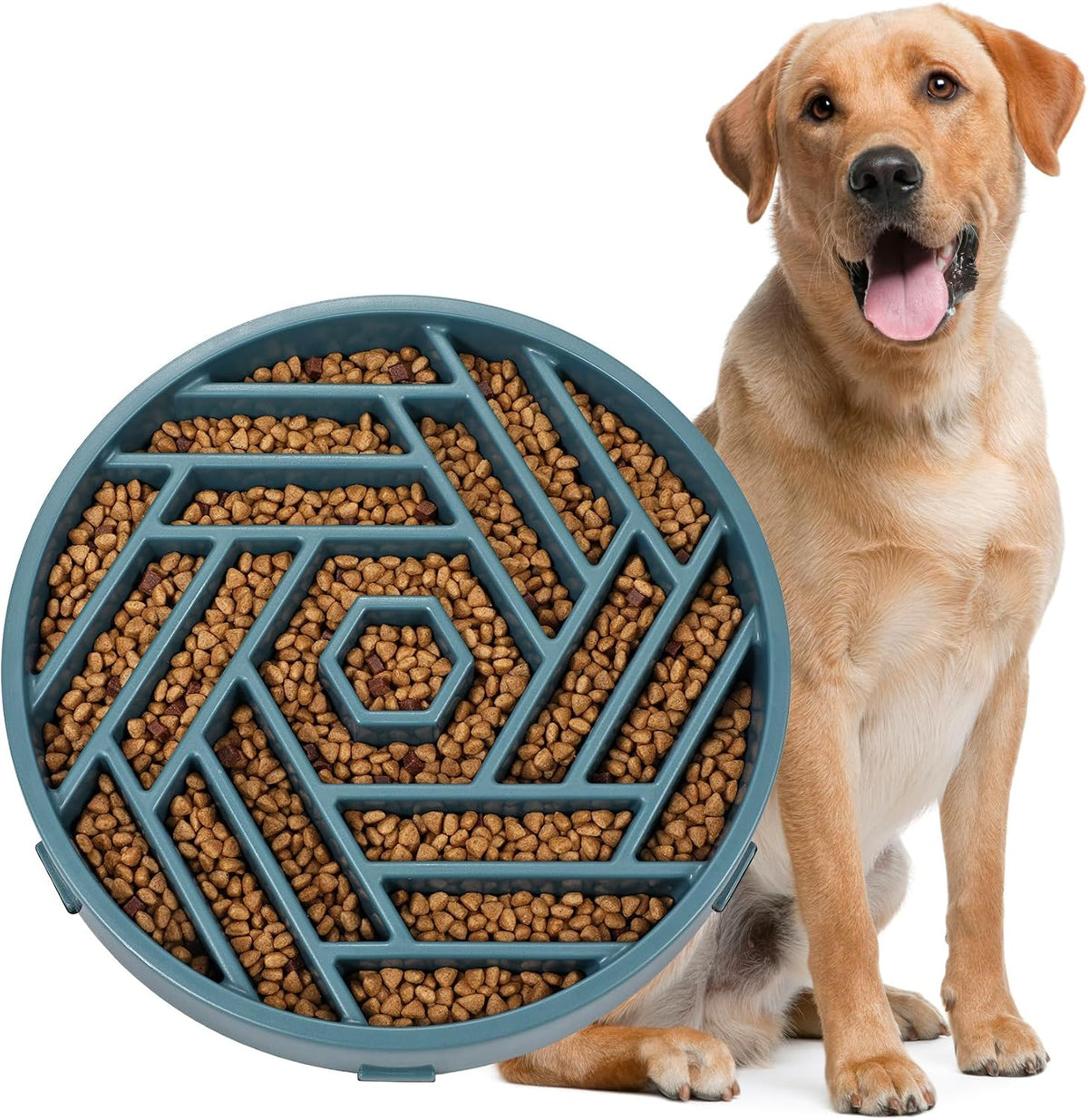 WHIPPY Slow Feeder Dog Bowl, Puzzle Maze Design to Slow Down Eating, 3-Cup Capacity, Anti-Gulping Food Bowl for Medium & Large Dogs,Navy Blue