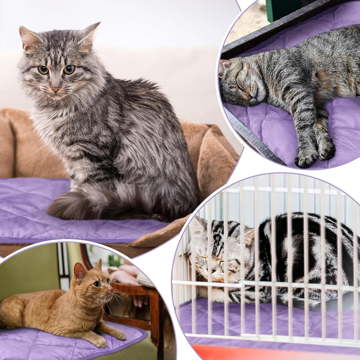 4 Pack Self Heating Cat Pad Self Warming Dog Mat, 16 x 20 Inch, Purple
