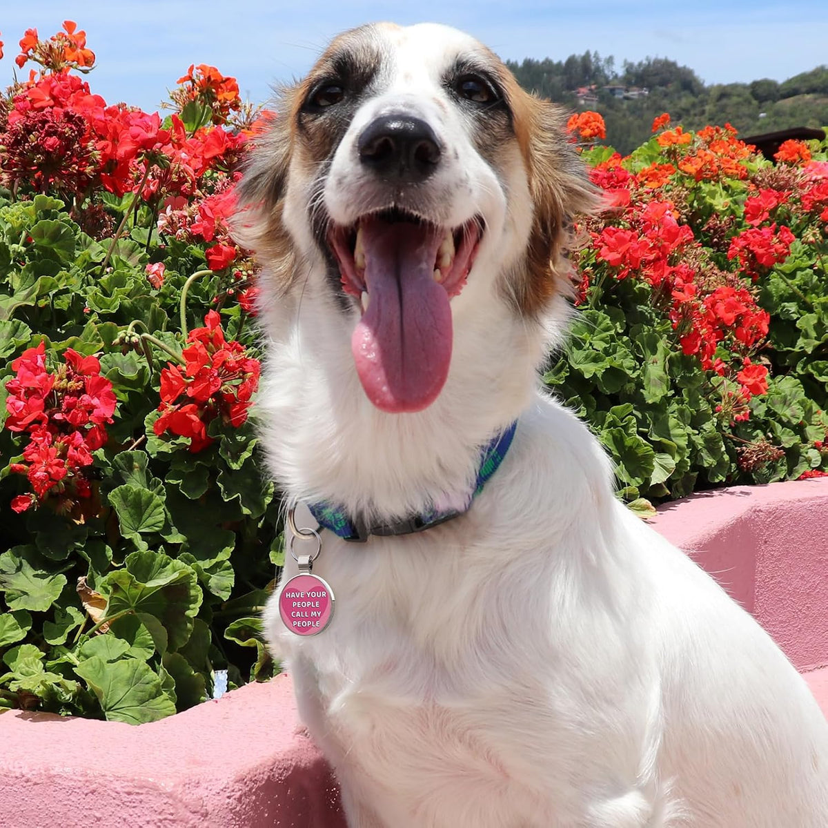 MYLUCKYTAG QR Code Dog Tags - Scan for Instant Pet Location Alert Email