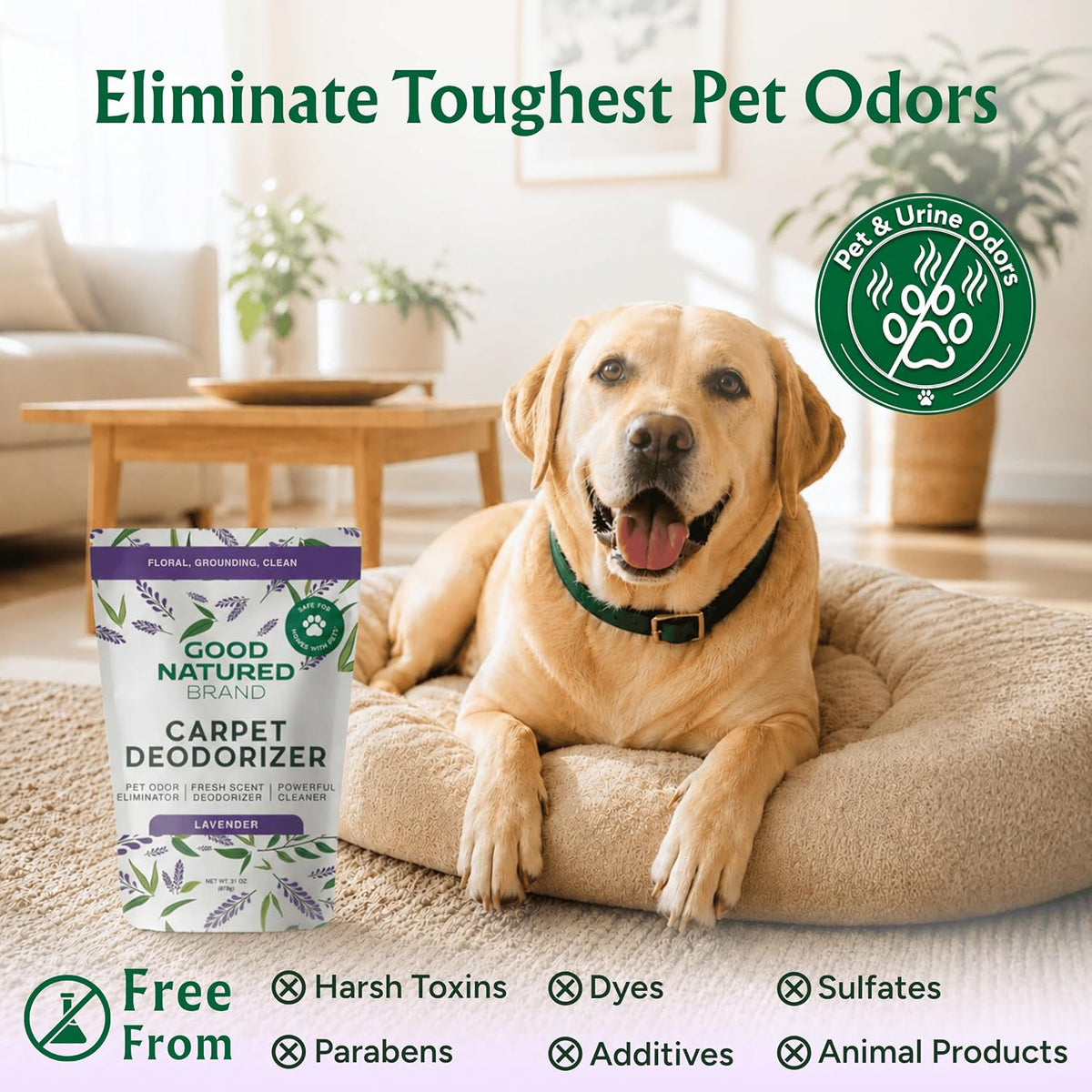 Good Natured Brand Carpet Deodorizer & Pet Odor Eliminator Powder, 31oz