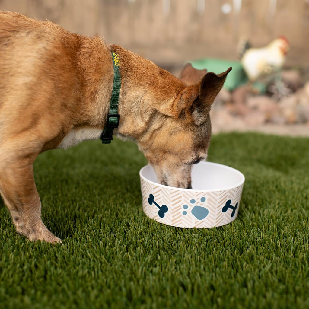 Loving Pets Dolce Moderno Dog Bowl – Modern Melamine Dog Food Bowl & Dog Water Bowl – Durable, Non-Slip Pet Dish for Small & Medium Dogs – Dishwasher Safe Dog Bowl (Small, 16 oz)
