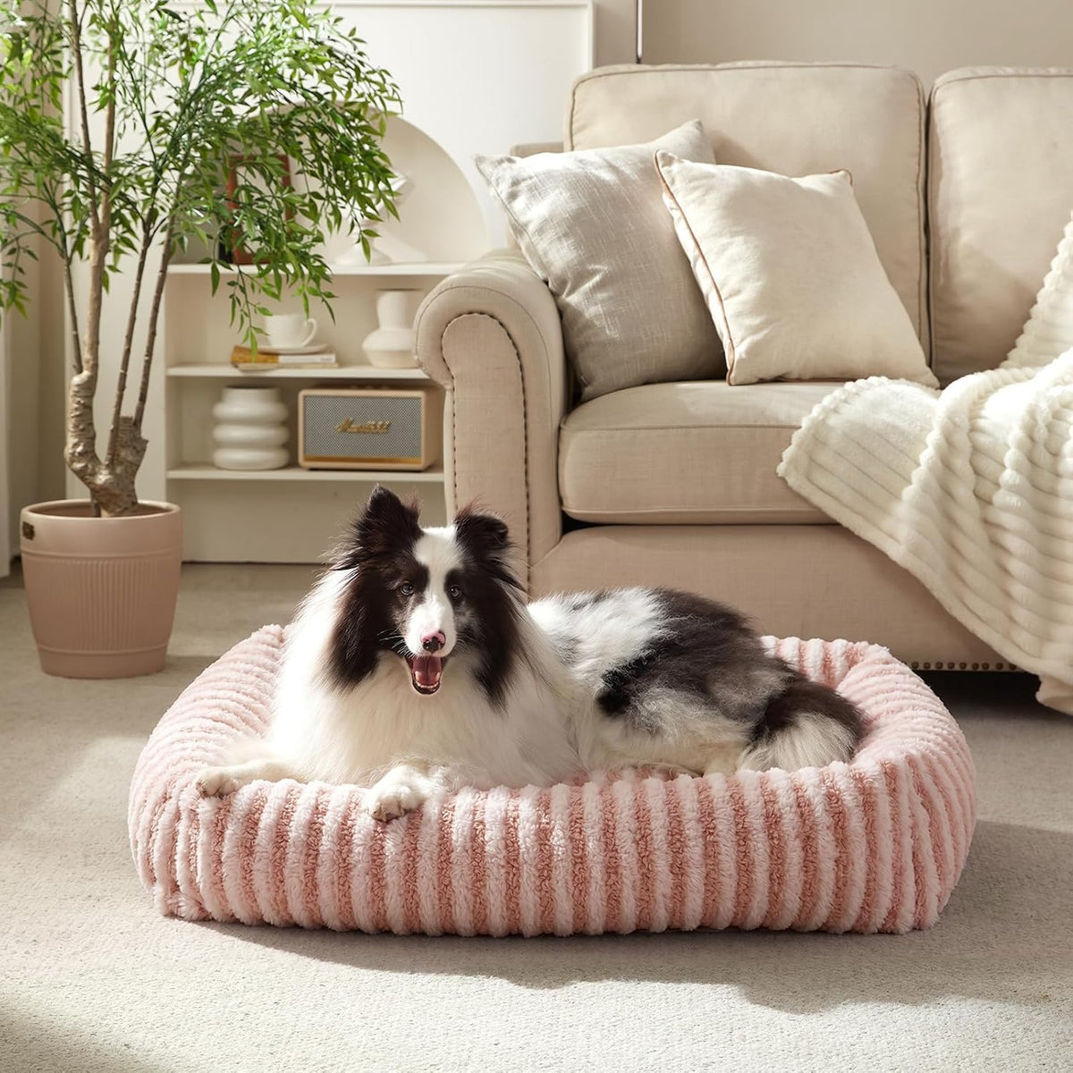 MIXJOY Dog Beds for Small Dogs Cats，Small Dog Bed Washable,20" Pink