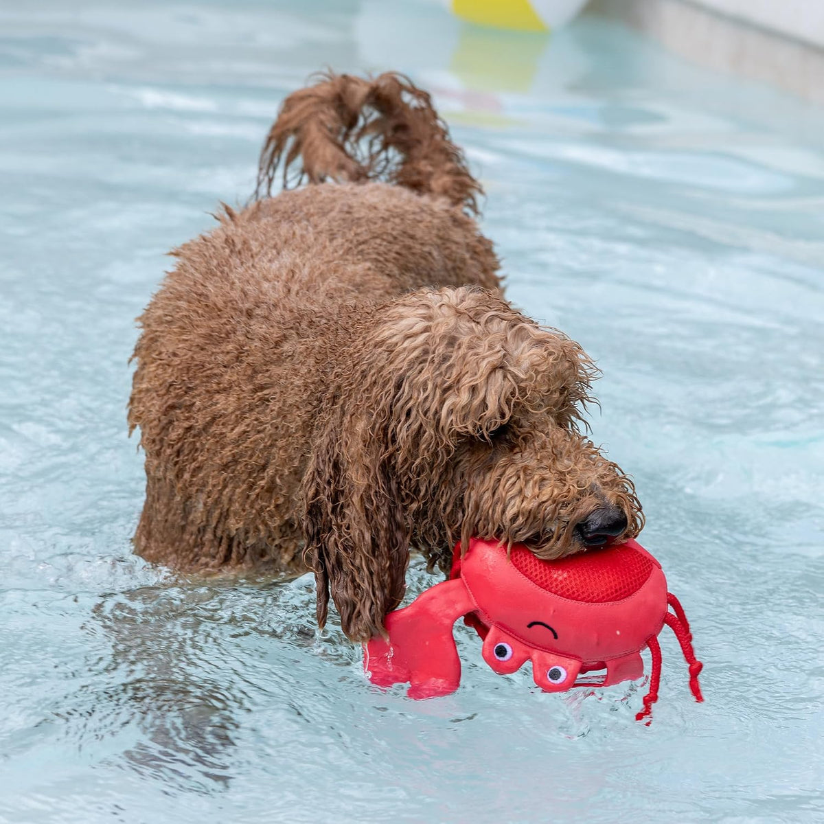 Fringe Studio Claws Floating Dog Toys, Pet Shop Collection (640007)
