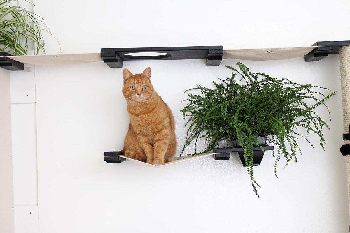 CatastrophiCreations Gardens Set for Cats Multiple-Level Wall Mounted Scratch, Hammock Lounge, Play & Climbing Activity Center Furniture Cat Tree Shelves
