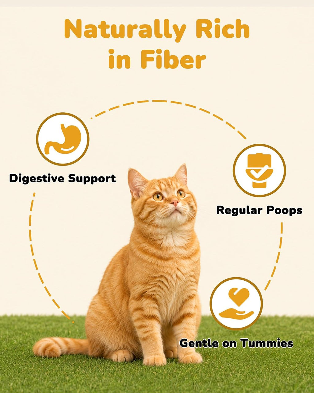 PAWUP Freeze Dried Pumpkin Treats for Dogs & Cats, Single Ingredient