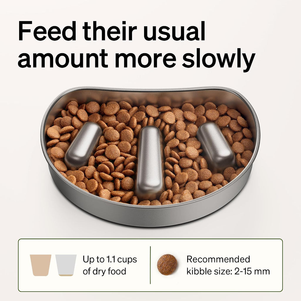 PETLIBRO Slow Feeder Bowl for Small Dogs & Cats, 1.125 Cup— Anti-Gulp Stainless Steel Dog & Cat Bowl, Helps Reduce Risk of Bloat, Dishwasher Safe — Compatible with PETLIBRO Camera Automatic Feeder