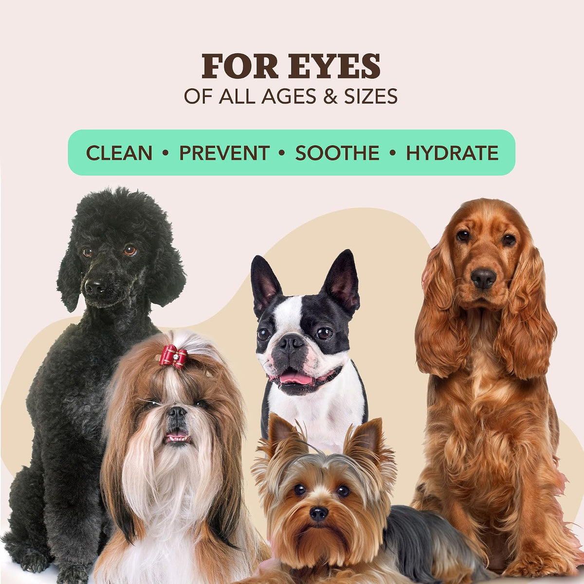 Natural Dog Company XL Dog Wipes for Paws and Butt - Hypoallergenic, Biodegradable, Fragrance Free - Large 7×8 inch Grooming Wipes for Dogs Face and Body - Sensitive Skin Pet Wipes - 50 Count 