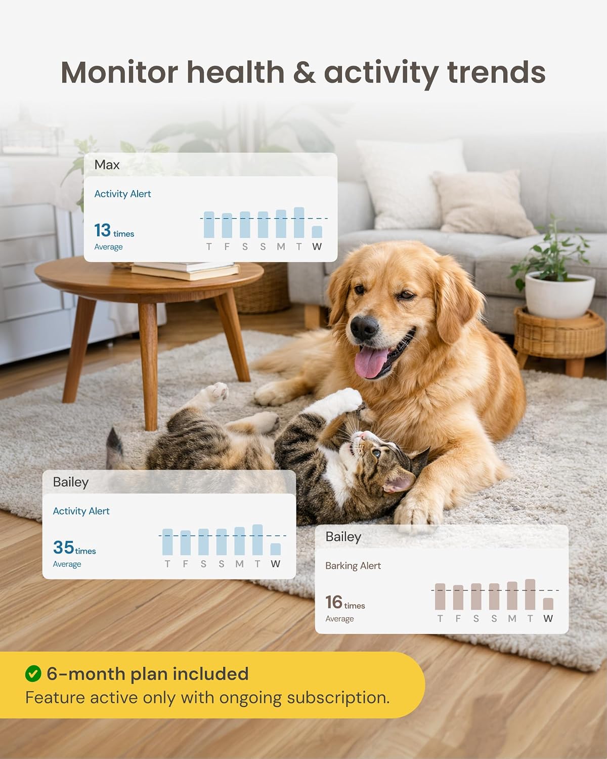 Furbo Mini Pet Camera [6-Month Subscription Included]