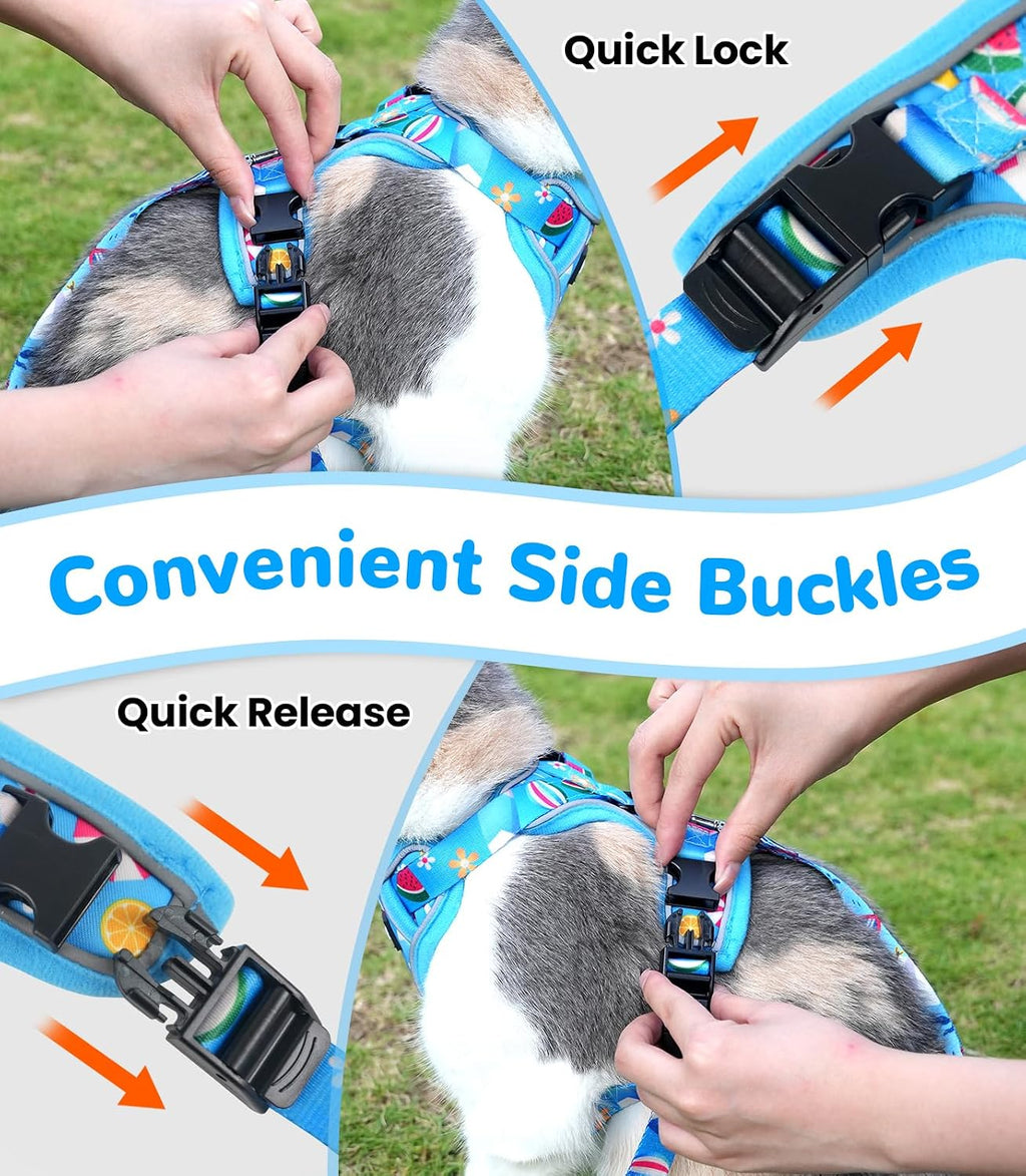 Halypet Cat Harness and Leash Set, Escape Proof Adjustable Harness