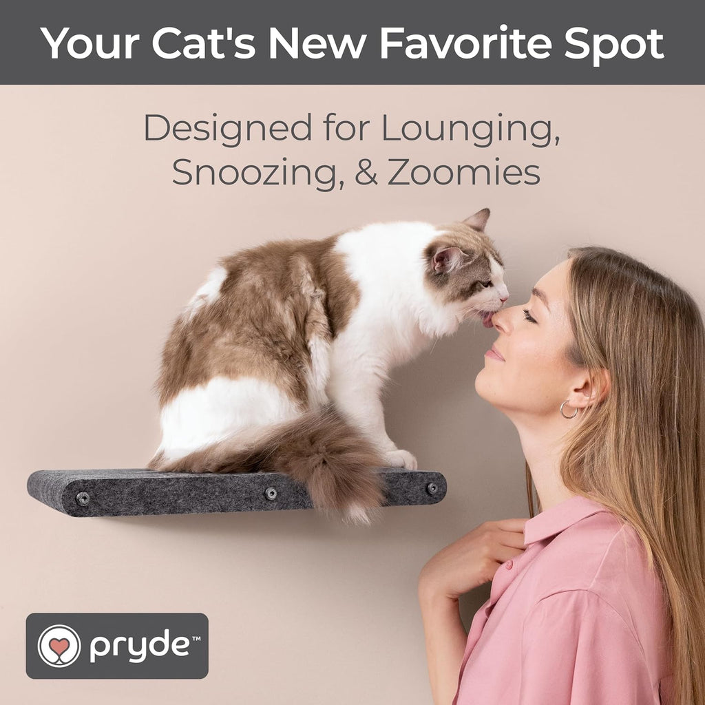 Cat Wall Shelf (Long) - Indoor & Outdoor by Pryde Pets