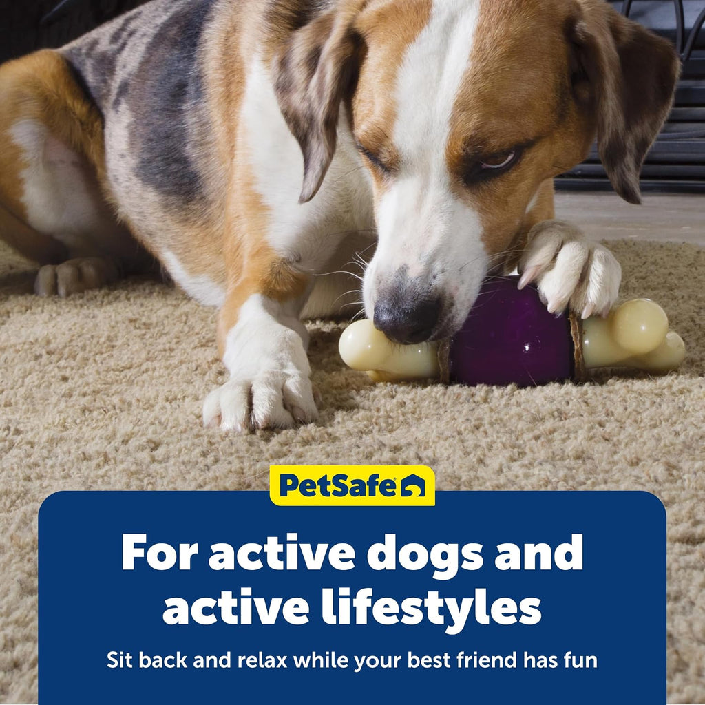 PetSafe Busy Buddy Bouncy Bone Treat Holding Dog Chew Toy, Large