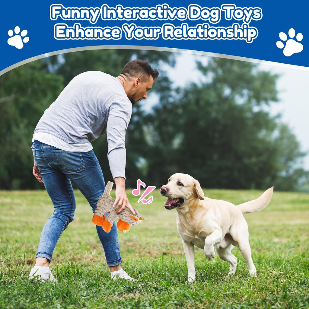 loncoldy Squeaky Dog Toys, Tough Chew Toys for Dogs, Crinkle Interactive Squeaky Stuffed Dog Toy for Small Medium Large Breeds, Plush Dog Toy to Keep Them Busy, Pet Toys for Dogs