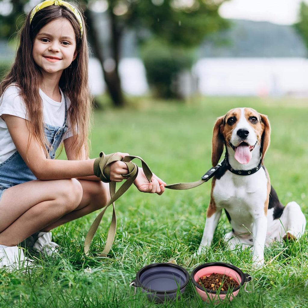 Dog Bowl Pet Collapsible Bowls, 2 Pack Collapsible Dog Water Bowls for Cats Dogs, Portable Pet Feeding Watering Dish for Walking Parking Traveling with 2 Carabiners (Small, Purple+Fairy Pink)