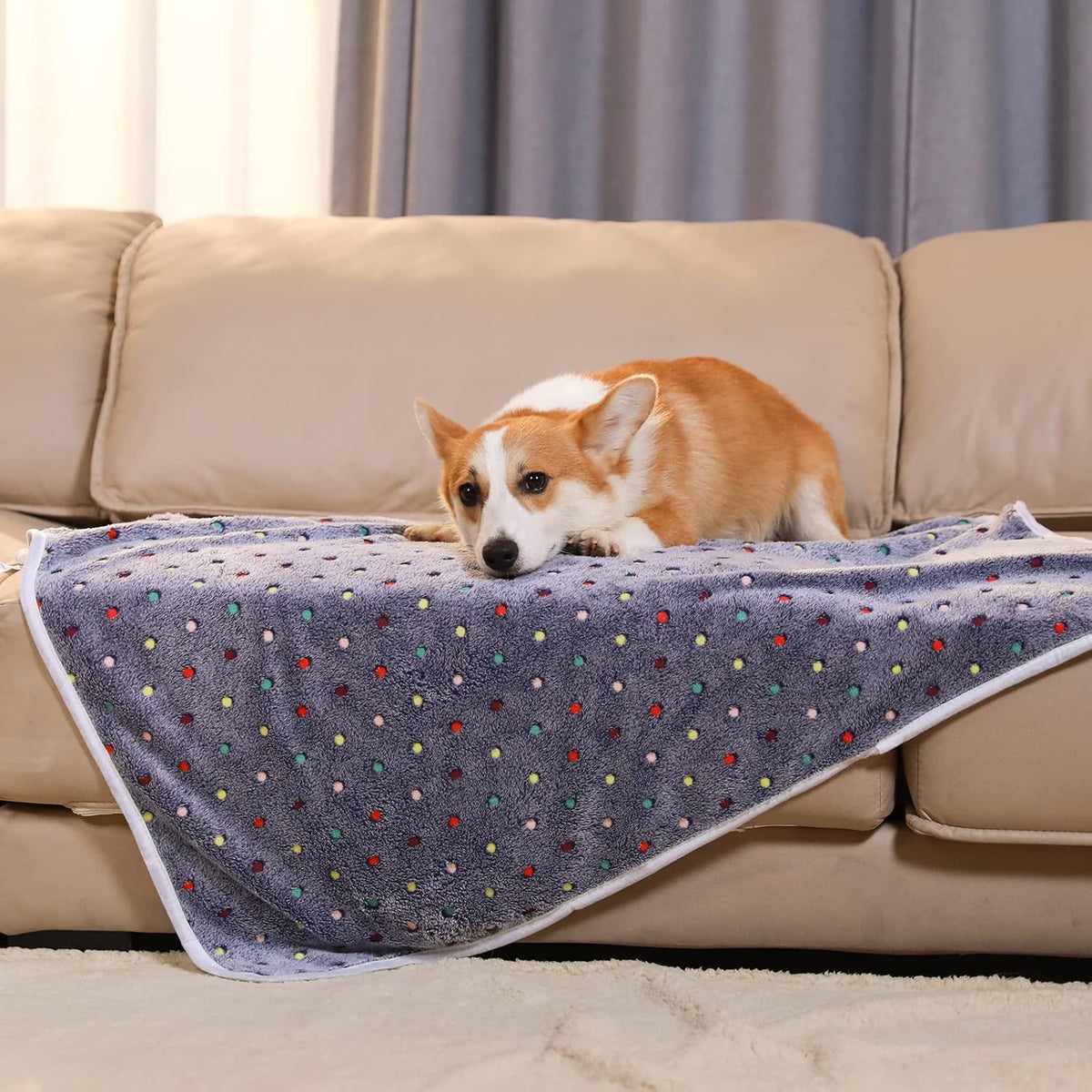 Luciphia 1 Pack 3 Blankets Super Soft Cute Dot Pattern Pet Blanket Flannel Throw for Dog Puppy Cat Large(41x31), Grey