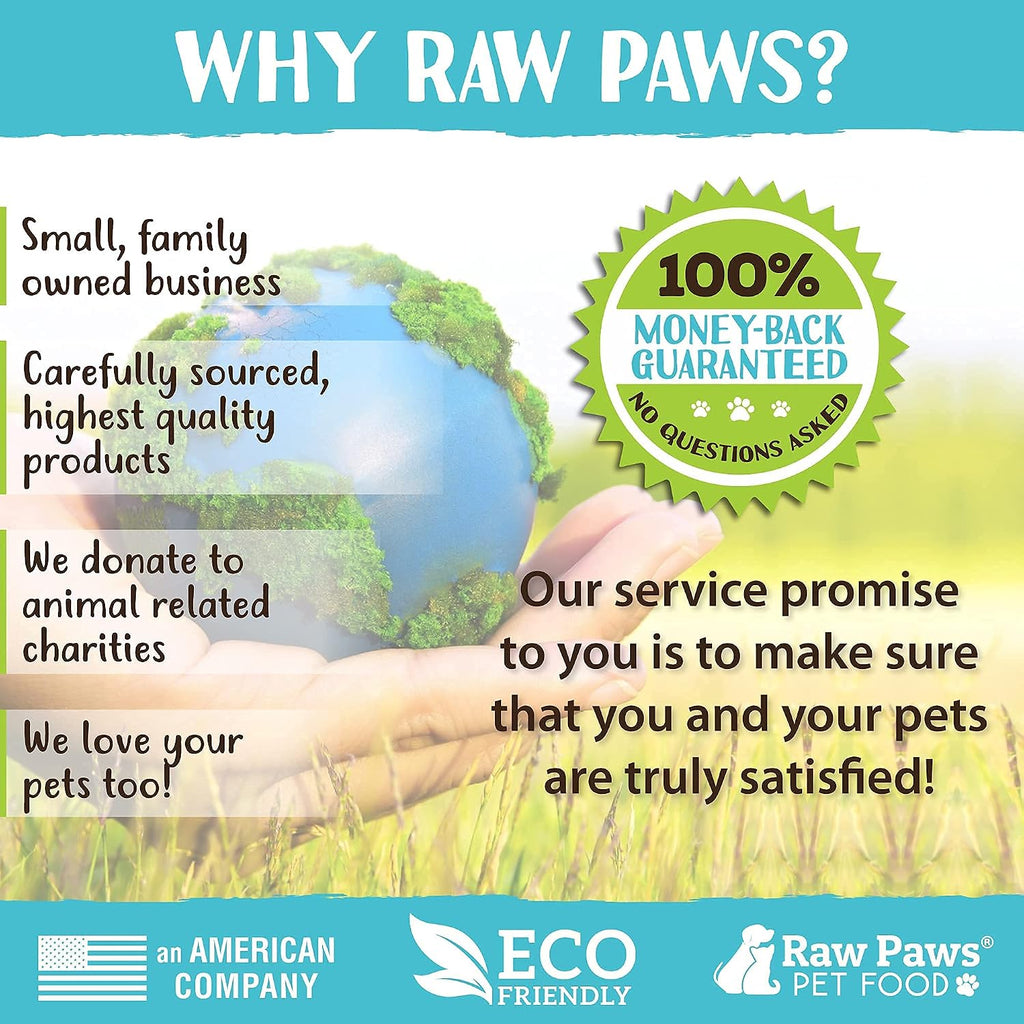 Raw Paws Hand-Held Grooming Pin Brush for Dogs & Cats - Rubber Tipped