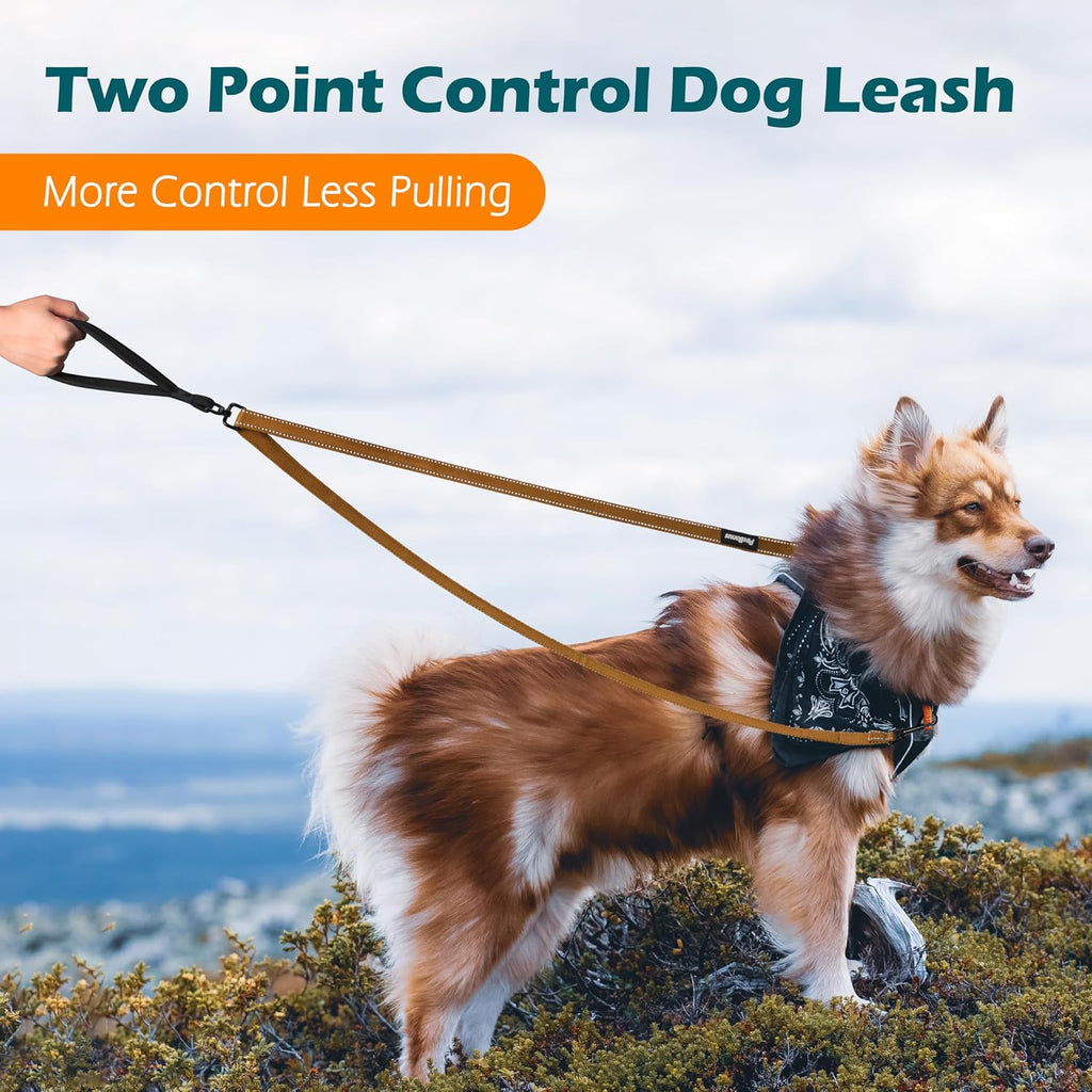 PetBonus Two Point Control Dog Leash, No Tangle Training Walking Leashes