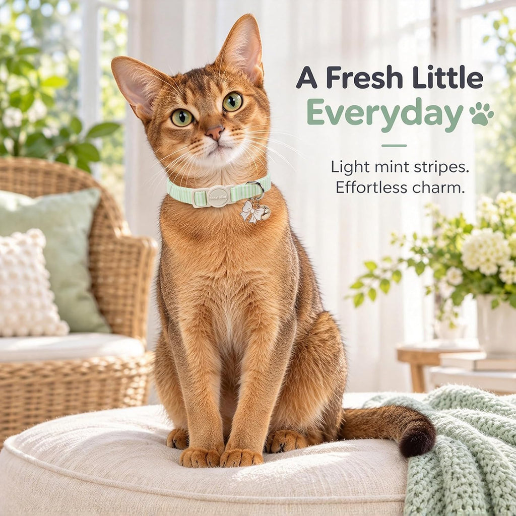 lionet paws 2 Pack Cat Collar Breakaway with Bells-Blue & Green Stripe