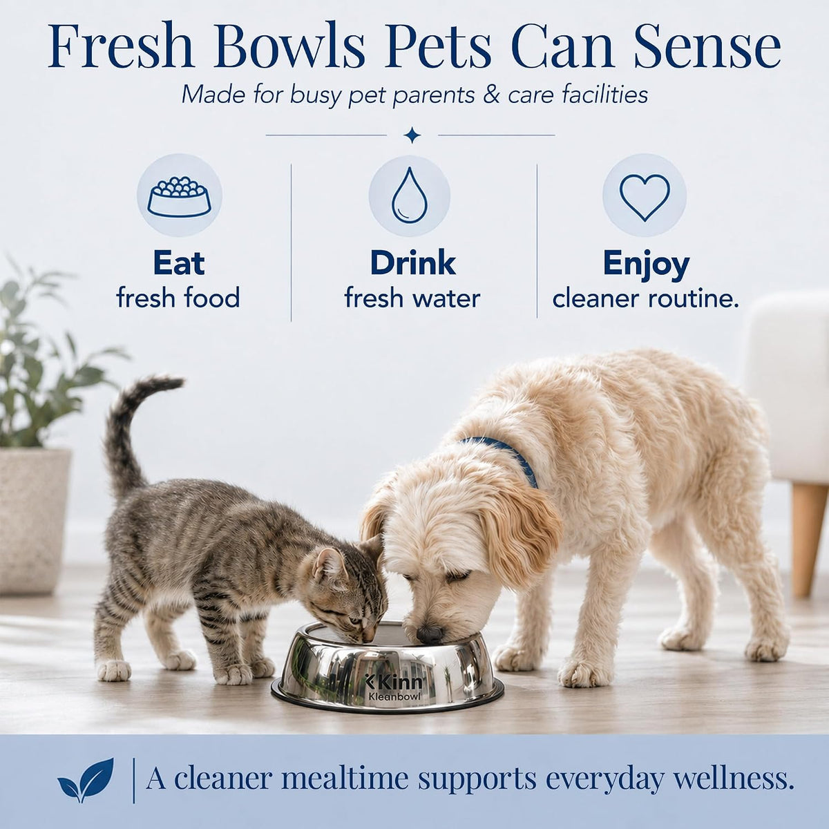 Kinn Kleanbowl Pet Bowl Stainless Steel Frame, 16 oz (Pack of 2) | Compostable Refills, Spill-Proof Stable, Disposable, Easy Cleaning, No Plastic 