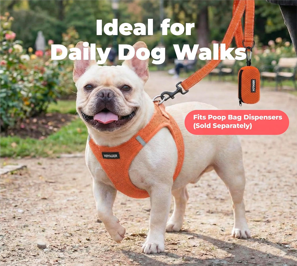 Best Pet Supplies Voyager Nylon Dog Leash - Orange, Medium