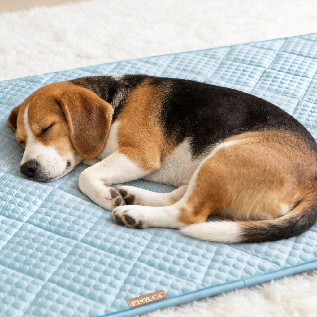 PPOLCA Waterproof Cooling Mat for Medium Dogs 21x29, Light Blue