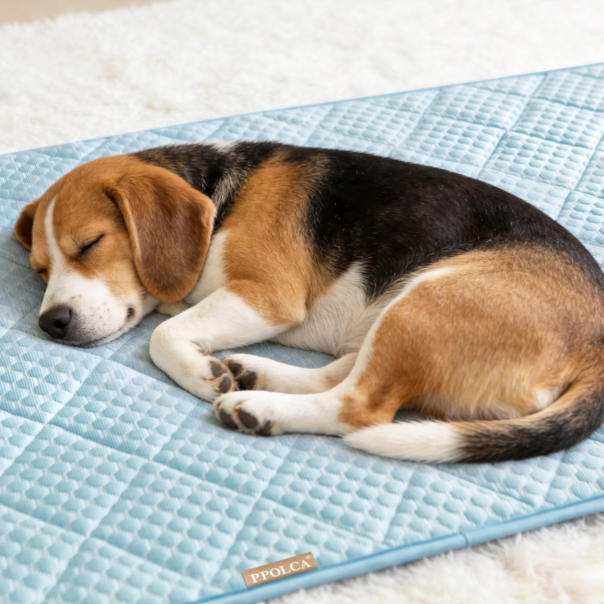 PPOLCA Waterproof Cooling Mat for Medium Dogs 21x29, Light Blue