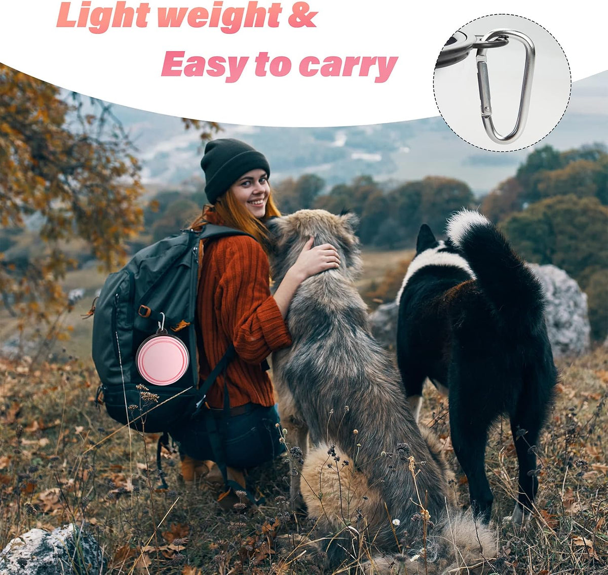 Large Dog Bowl Pet Collapsible Bowls, 2 Pack Collapsible Dog Water Bowls for Cat Dogs Portable Pet Feeding Water Dish for Walking Parking Traveling with 2 Carabiners (Large, Fairy pink & Sprout Green)