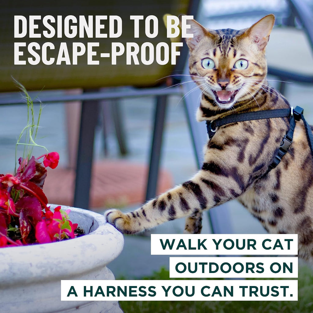 OutdoorBengal Houdini™ Escape Proof Cat Harness and Leash (Black, S)