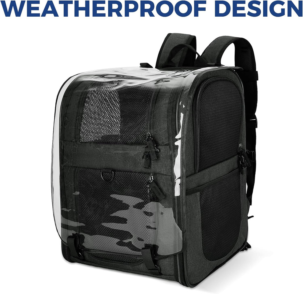 Apollo Walker Cat Backpack Carrier, Support Frame, 16 lb Weight Capacity