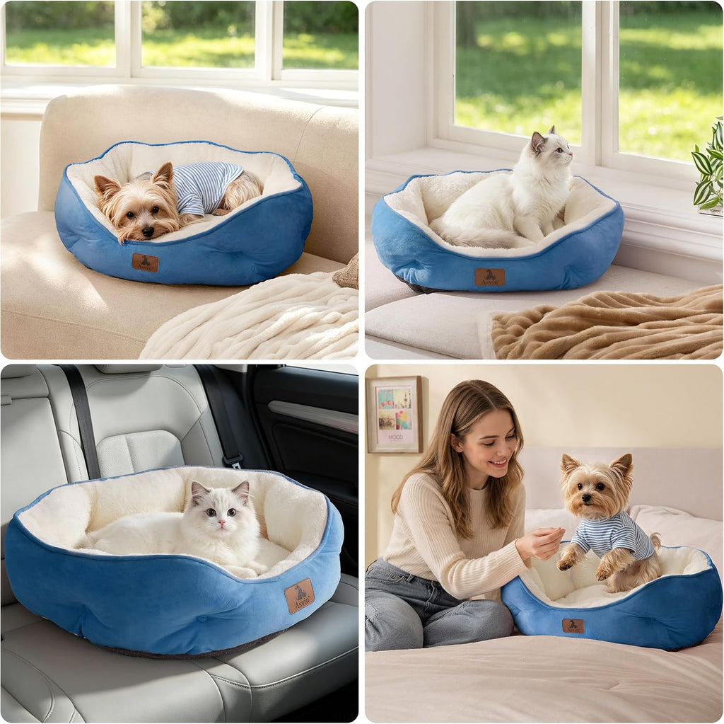 Asvin Small Dog Bed for Small Dogs, Cat Beds for Indoor Cats, Pet Bed for Puppy and Kitty, Extra Soft & Machine Washable with Anti-Slip & Water-Resistant Oxford Bottom, Light Blue, 20 inches