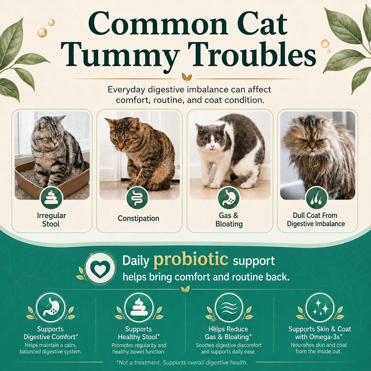 Cat Probiotics Chews 500 Count, Omega 3 Fish Oil Skin Coat Gut Support