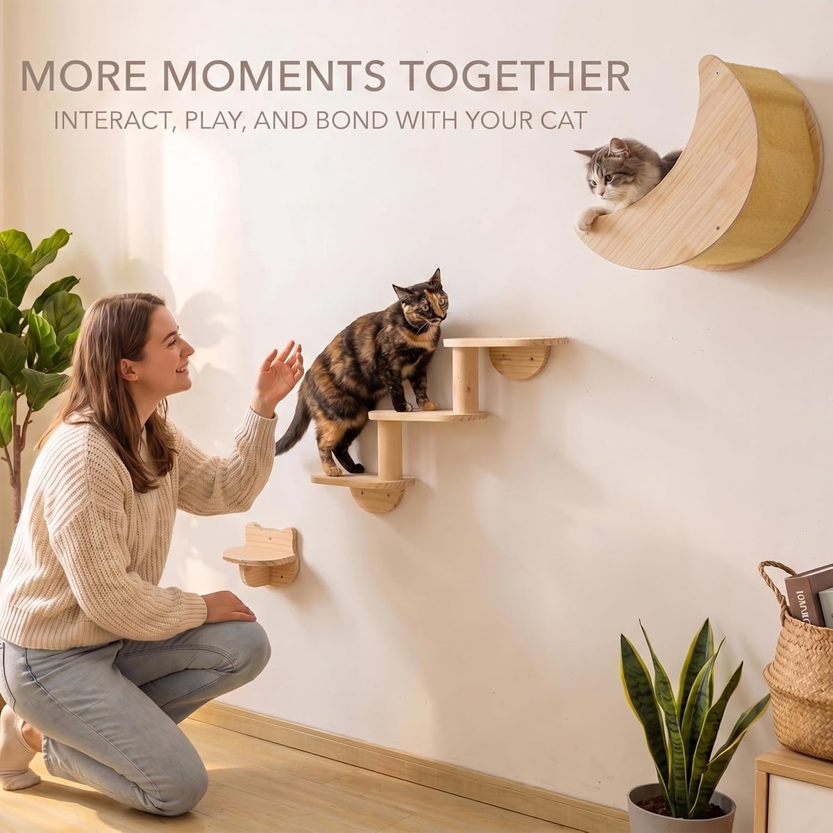 Cat Wall Shelves, Solid Wood Moon Bed, 3-Step Ladder & Perch for Climbing