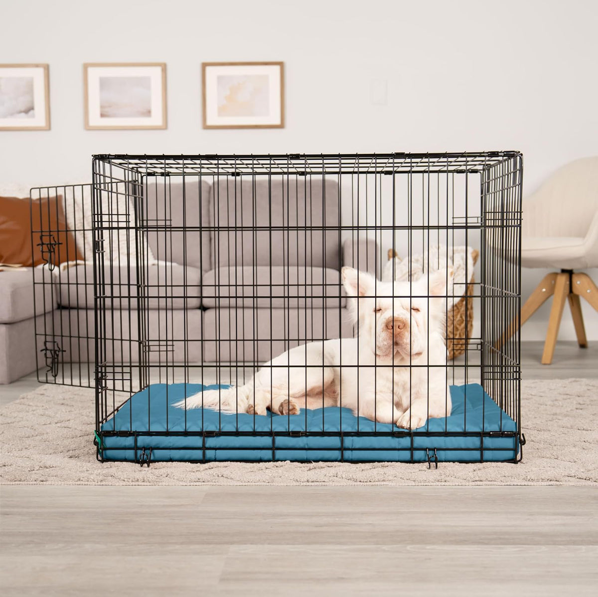Furhaven Orthopedic Dog Bed – Puffy Quilted Foam Mattress with Removable Washable Cover, Soft & Supportive for Kennels & Crates - Large, Lagoon