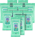 Wet Ones for Pets Hypoallergenic Dog Wipes with Vitamins, 100 Count, 12-Pk