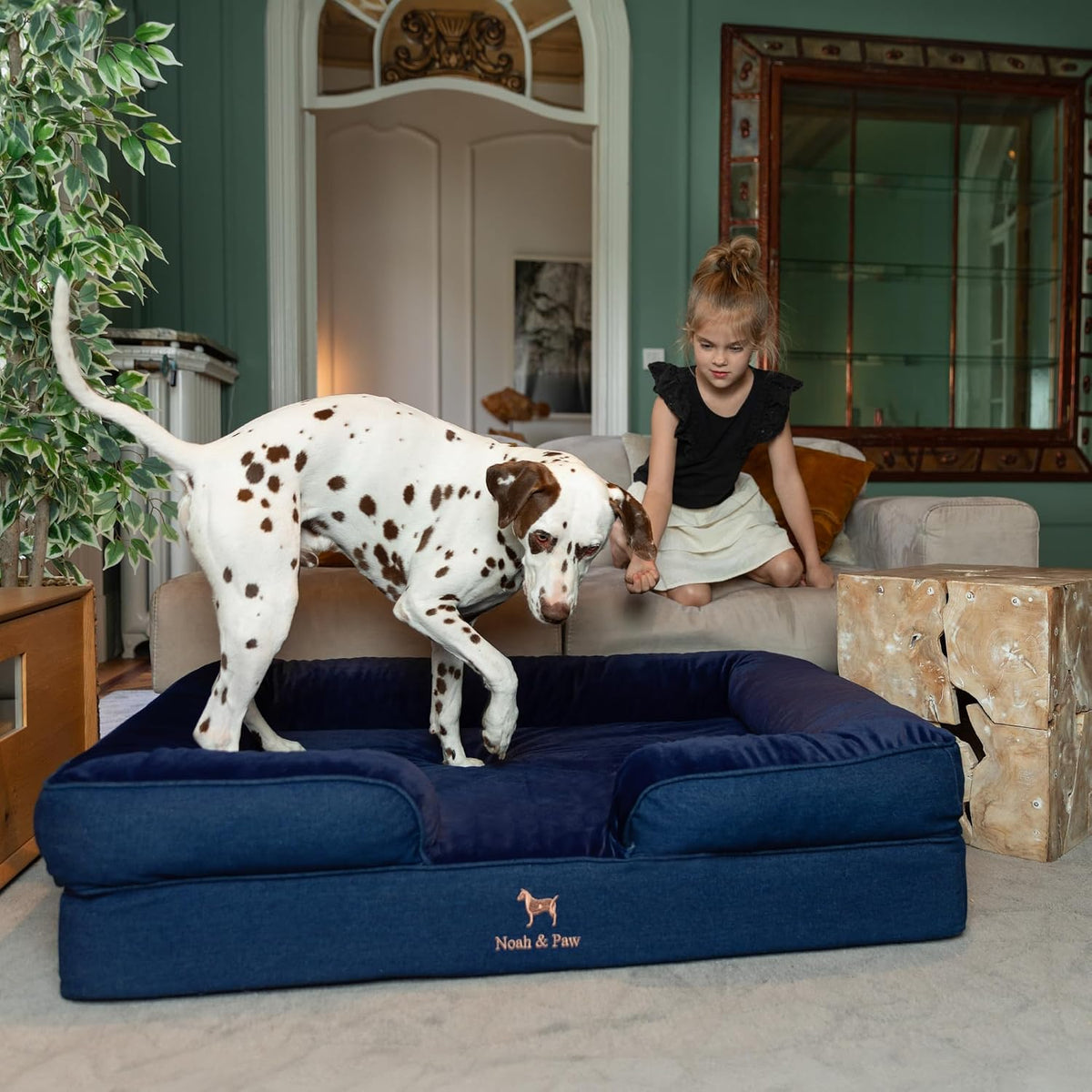 NOAH & PAW Large Dog Bed, Orthopedic Memory Cooling Foam (2X Base) 45x35x11
