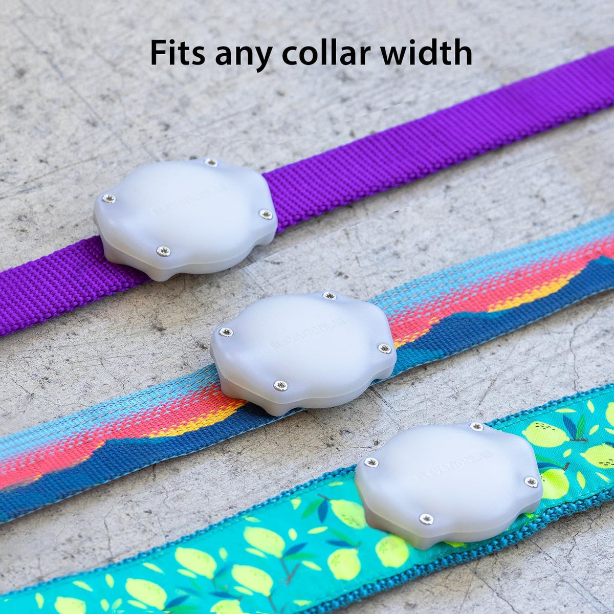 AirTag Dog Collar Holder - Waterproof - Elevation Lab (2 Pack)
