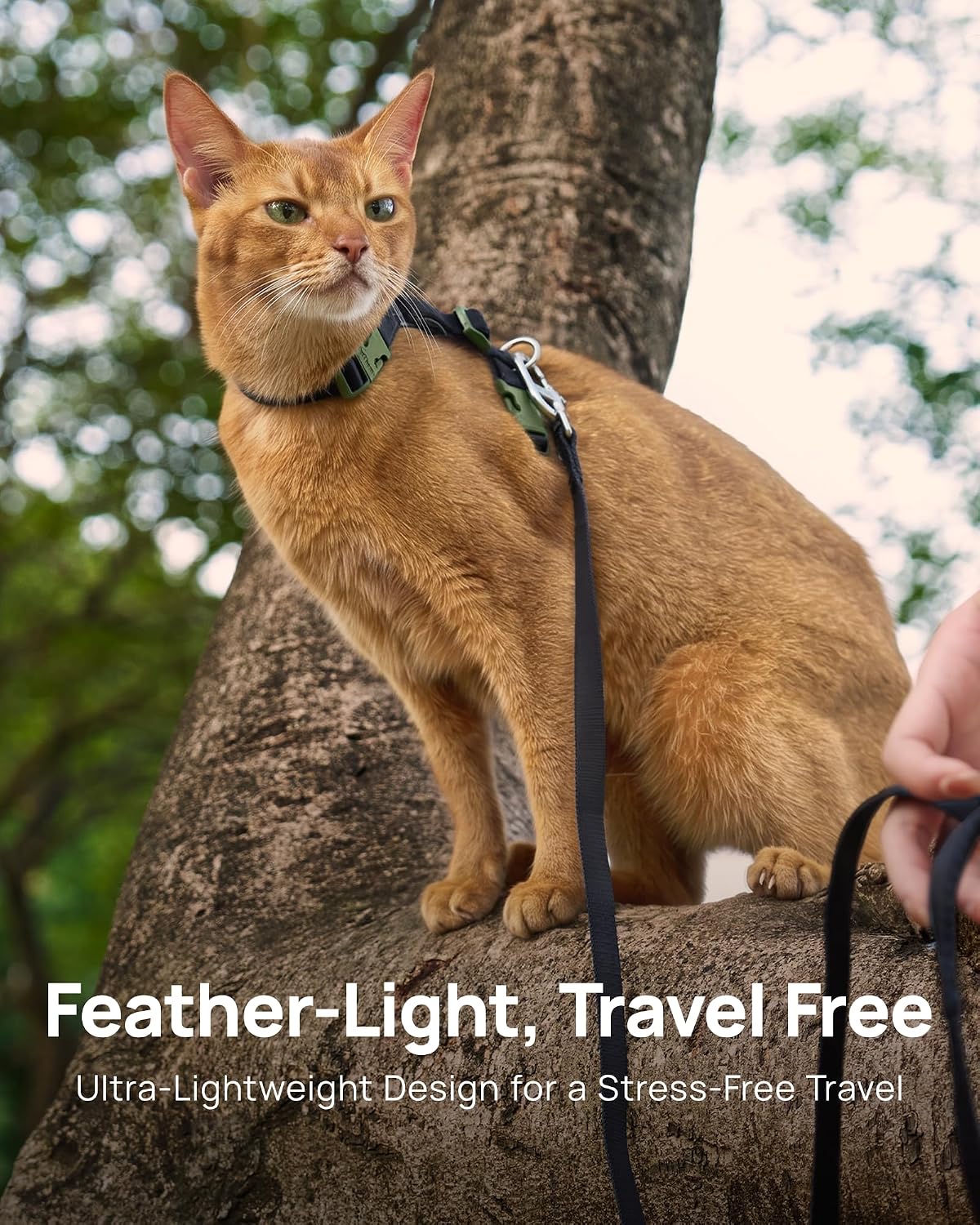 PetThem Adjustable Cat Harness and Leash Set Escape Proof (Black)
