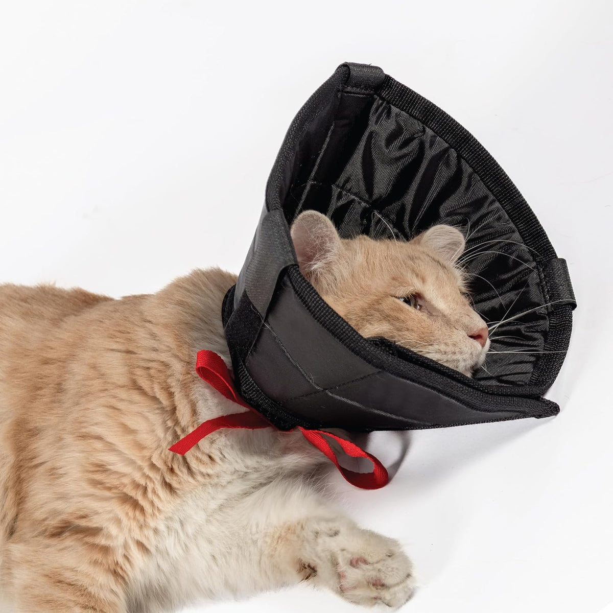 Cat Cone Collar - Soft Adjustable Cat Elizabethan Healing Collar – Lightweight Wound‑Protection Neck Cone for Licking/Biting Prevention, Fits Neck 6.5″–10.5″, Ideal Post‑Surgery & Injury Care
