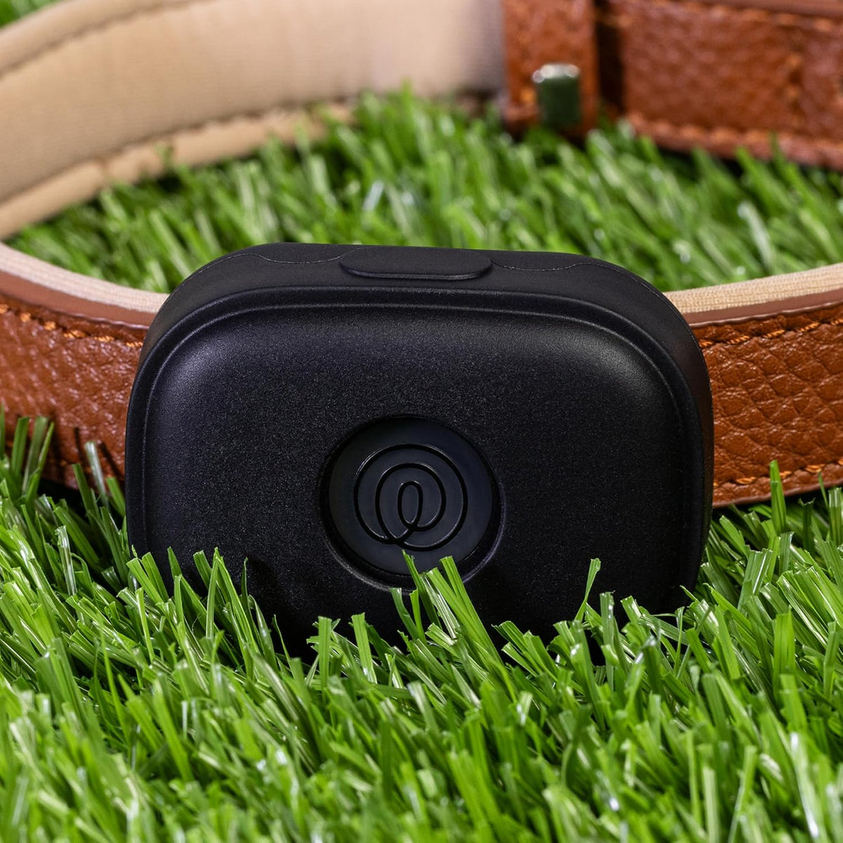 Life360 Pet GPS Tracker for Dogs | Live Tracking, Escape Alerts & Lost Pet Network | Up to 14 Days Battery | 12-Month Silver Subscription Included for New & Free Members | 1-Pack, Black