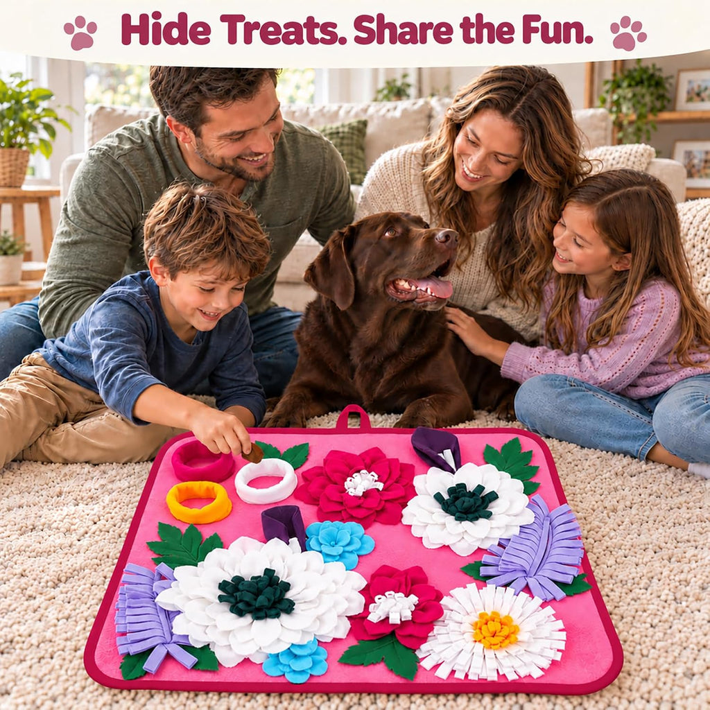 Vextronic Snuffle Mat for Dogs, Large Dogs Slow Feeder, Interactive Puzzle