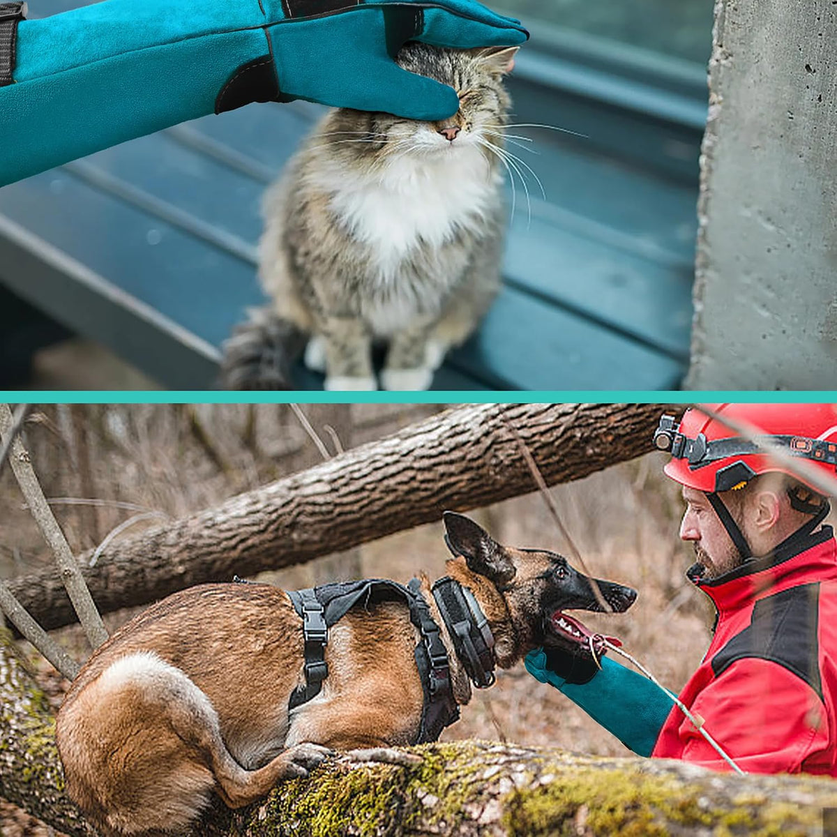 Animal Handling Gloves, Bite Proof for Cats, Scratch Resistant