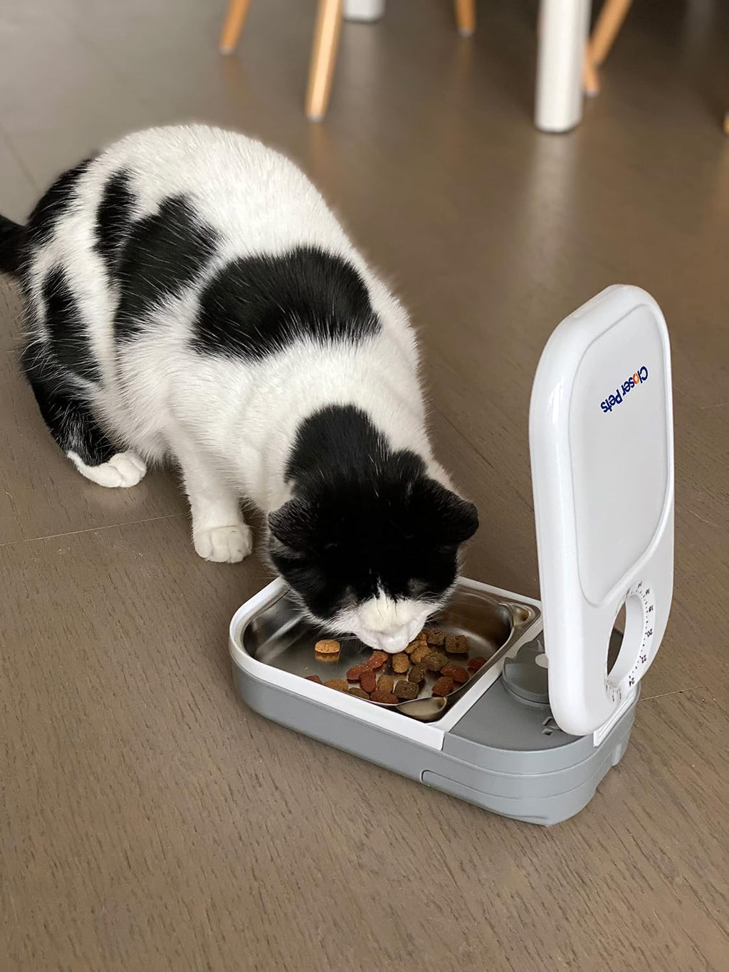 Closer Pets C100 Single Meal Timer-Controlled Automatic Pet Feeder - for Cats and Small Dogs, Wet or Dry Food with Stainless Steel Bowl Insert, up to 400 g, White