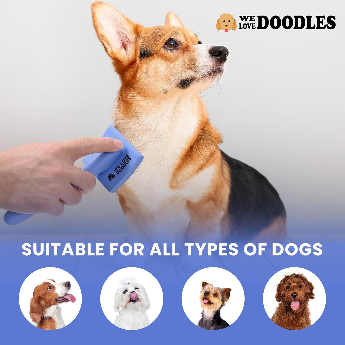 Small Curved Slicker Brush For Dogs, Goldendoodles & Poodles With Long Hair