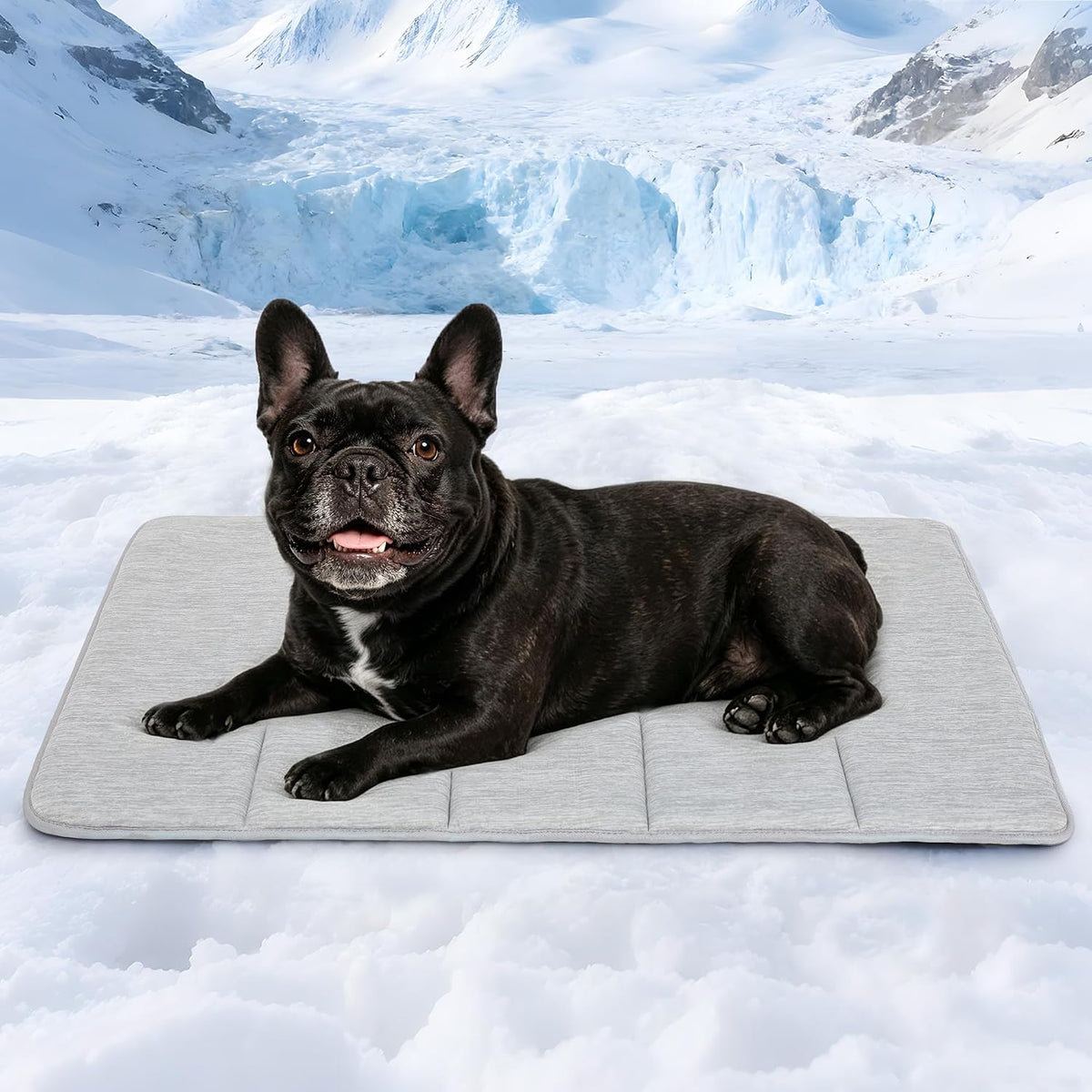 Dog Cooling Mat for Large Dogs, 30"x20" Memory Foam Pet Pad