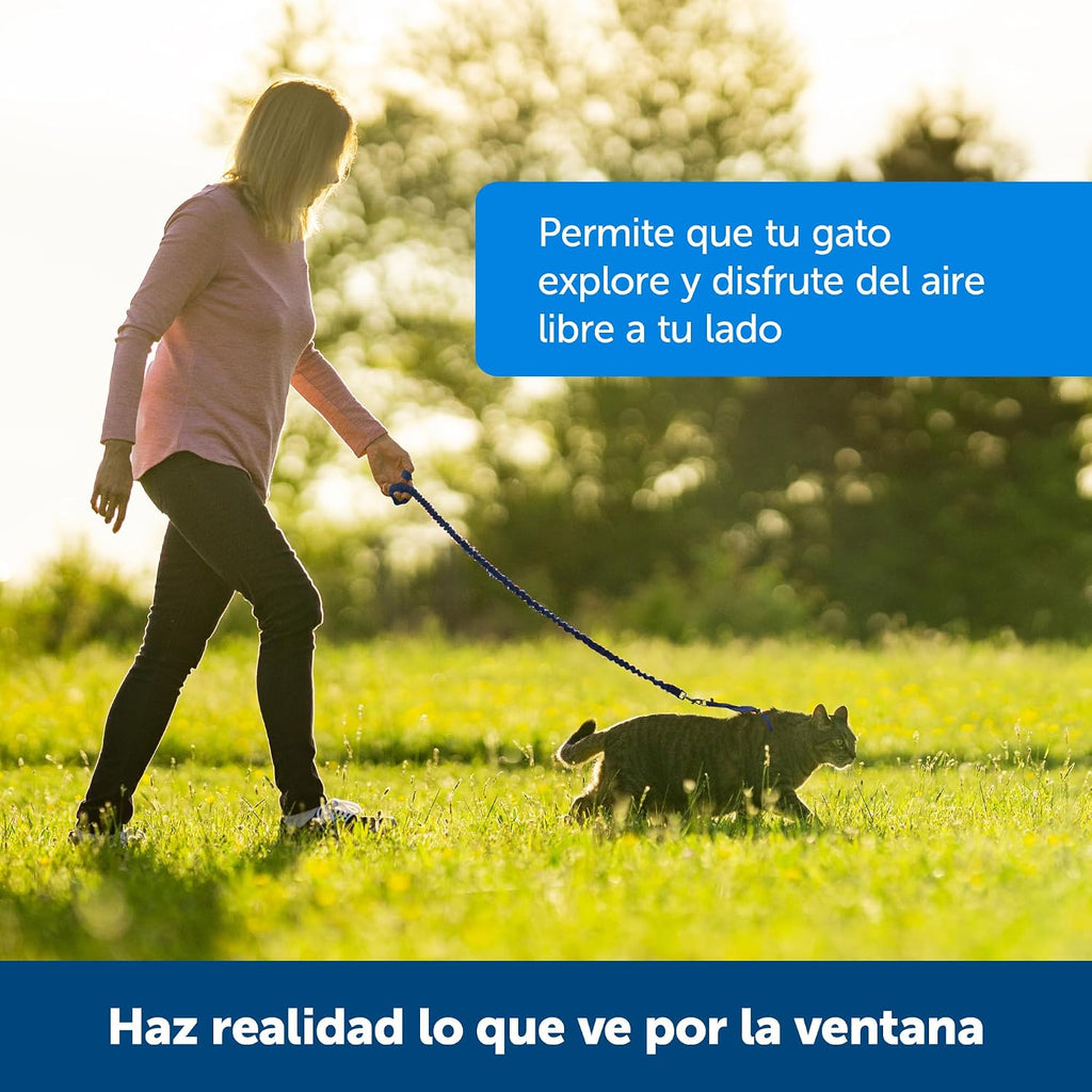 PetSafe Come With Me Kitty Harness and Bungee Leash, Harness for Cats, Medium, Black/Silver, CWMK-M-BLK