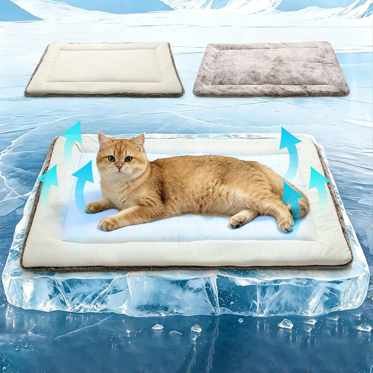 Self Warming Cat Bed Mat, Cat Beds for Indoor Outdoor Cats, Cat Heating Pad for Cats, Washable Small Dog Bed, Dual-Sided Year-Round Pet Pad for Cats Kittens Small Medium Dogs, Ideal for Crate