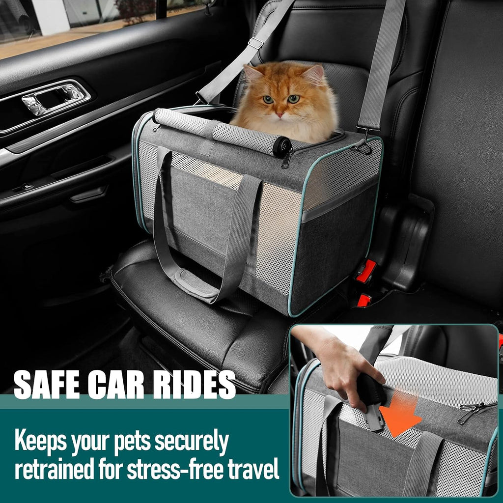GAPZER Large Cat Carrier Soft, Collapsible Travel Pet Carry Bag, Small Dogs