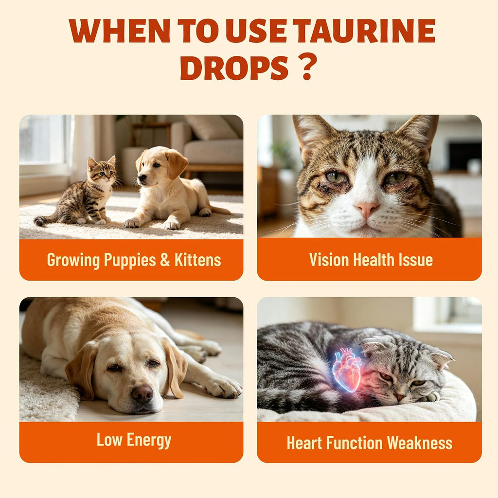 Taurine for Cats & Dogs, Taurine Liquid Drops with CoQ10 2 fl oz
