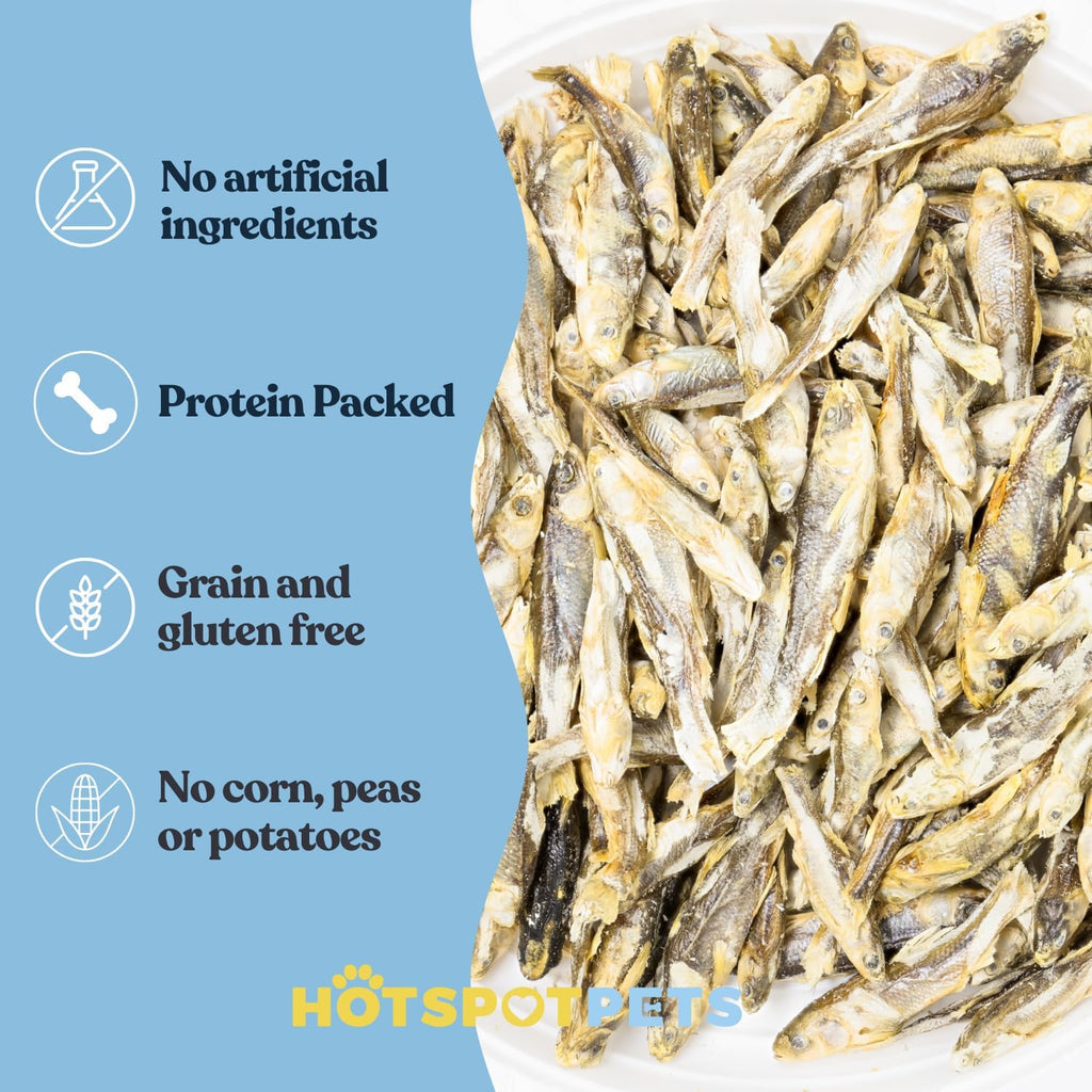 hotspot pets Freeze Dried Minnows Treats for Cats & Dogs (1 Pound Bag Over 400 PCS) Made in USA, All Natural, High Protein, Rich in Omega-3s, Grain-Free, Perfect for Training, Topper or Snack