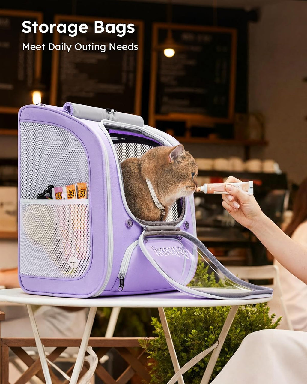 Pecute Cat Backpack Carrier,Large Space Cat Bubble Backpack,Light Purple